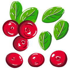 Lingonberry set. Red berries and green leaves. Vector illustration
