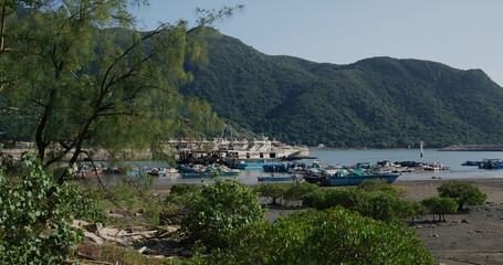 Fototapeta na wymiar Traditional fishing village in Hong Kong
