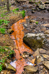 Shamokin springs nature preserve hiking trail in Wintergreen ski resort town city with red sediment...