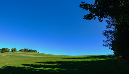 amazing green hilly landscape with meadow and shrubs with blue sky panorama