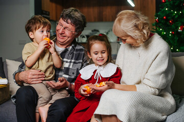 Caring grandparents feeding tangerines to their grandkids during christmas