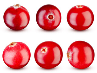Set of cranberries isolated on white background. High quality