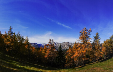 colorful trees while hiking in autumn montain landscape with sunshine panorama