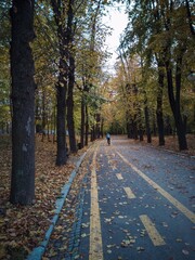 Naklejka na ściany i meble path in autumn park
