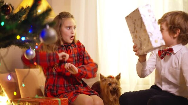 Caucasian brother and sister fighting for gift sitting at Christmas tree in living room. Portrait of little cute boy and girl pulling present box at home on New Year's eve. Conflict on holiday