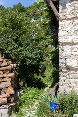Village of Delchevo with authentic houses from the nineteenth century, Bulgaria