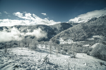 Obraz premium snow covered mountains forest in winter