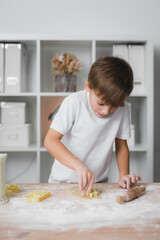 Little boy prepares pastries. He squeezes figurines out of raw dough using molds.