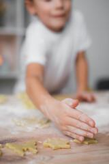 Close-up of blanks of biscuits and raw dough.