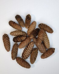 
The pine cones lie on a white table
