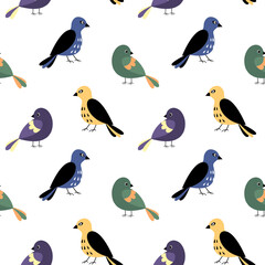 Bird pattern vector. Seamless background with multicolored birds.