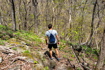 One young man back standing walking alone in forest woods at Wintergreen ski resort village town on...