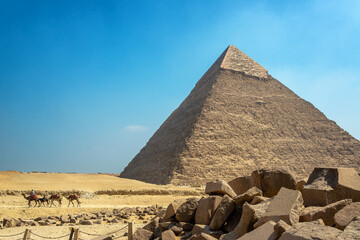 Camels and a Pyramid
