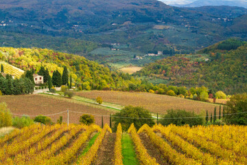 Paesaggio di campagna tra le colline con boschi e vigneti