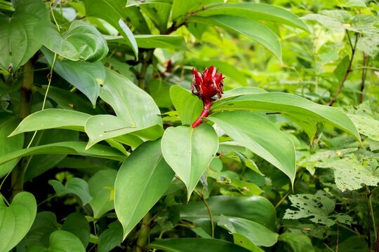 DIE 3,671 BESTEN BILDER, STOCKFOTOS UND ZU