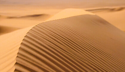 Sand dunes in the Arabian desert