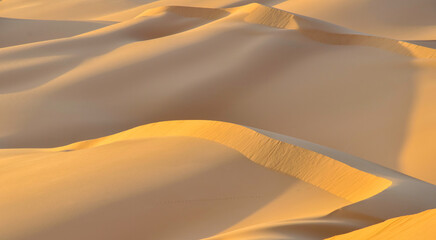 Fototapeta na wymiar Close up of desert sand dunes