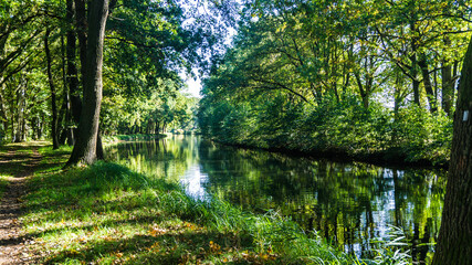 Obraz premium malerischer Waldweg entlang der Elde in Mecklenburg