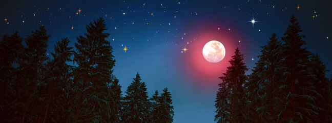 Christmas sky background with full moon and winter trees.