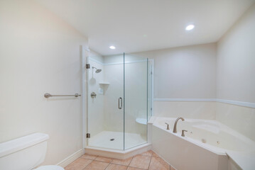 Fototapeta na wymiar Bathroom interior with corner shower stall and bathtub
