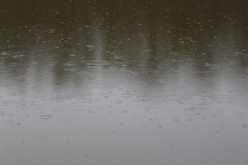 It's raining. The drops leave circles on the water. Trees are reflected in the water