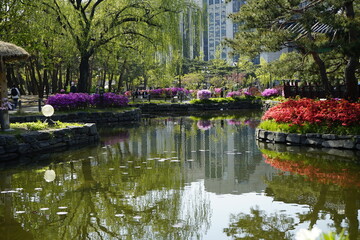 여의도공원에 있는 호수와 꽃들이 있는 풍경입니다.