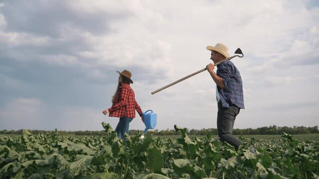 Agriculture. Farmer family in a green field. Organic food concept. Agriculture and business. Family of farmer inspecting the harvest. agriculture organic food. Farmer family business concept.