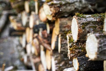 Wood chop stove. Woodpile texture background. Trees store. Hardwood pile stack. Wooden biomass...