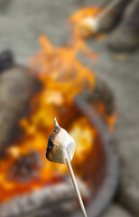 Roasting Marshmallows Over Outdoor Campfire