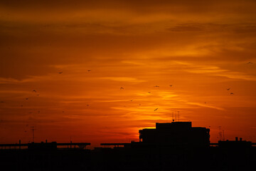 sunrise in the city silhouette