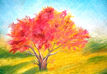pencil drawing of tree in fall