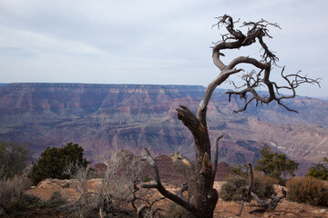 Landscape from the Grand Canyon in Arizona