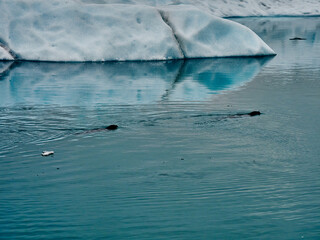 Glaciares de Islandia de color azul.