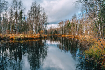 Autumn landscape of Karelia. Calm river flowing gently through woodland landscape. 
