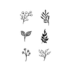 Floral graphic elements vector set. Flowers and plants hand drawn illustrations. Nature ornaments.