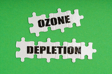 On a green background, there are puzzles on which it is written - ozone depletion