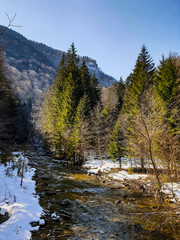 Spring in the mountains, Tisitei Gorges, Vrancei Mountains, Romania 