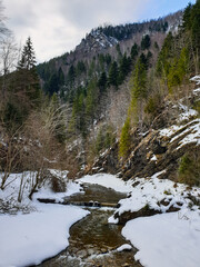 Fototapeta premium river in the mountains, Tisitei Gorges, Vrancei Mountains, Romania