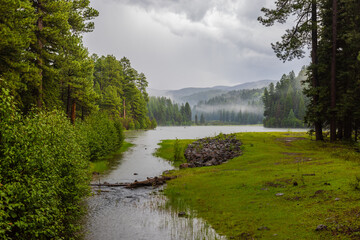 Christmas Tree Lake draped in mist during the monsoon season . White Mountains of Arizona.