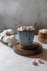 Cup of cocoa with creamy foam and marshmallows , hot chocolate , vertical shot .
