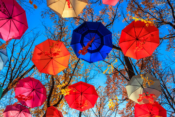 Multicolored umbrellas on the autumn park. Colorful umbrellas hanging among trees in the fall