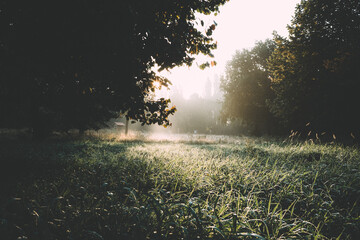 Herbstmorgen im Park