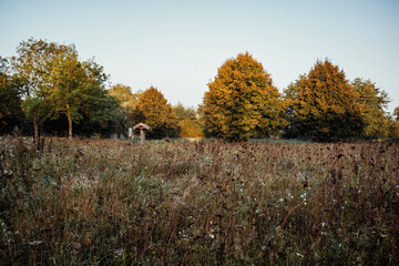 Herbstmorgen im Park