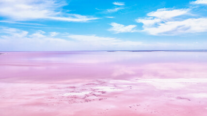Obraz premium The pink water. Algae that grows in high levels of salt. Pink lake in Kherson region, Ukraine.