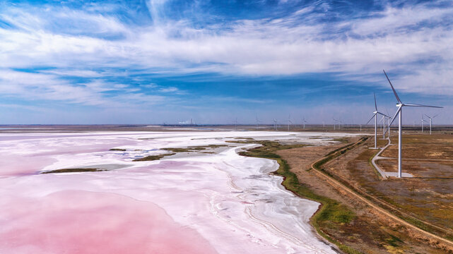 The pink water. Algae that grows in high levels of salt. Pink lake in Kherson region, Ukraine.