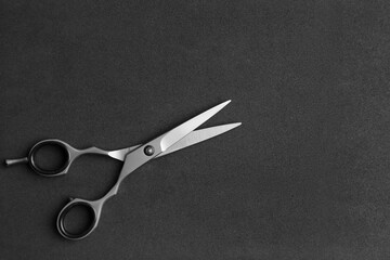 Professional scissors close up