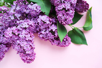 mock up postcard with lilac. a large bouquet of lilacs. spring bouquet 