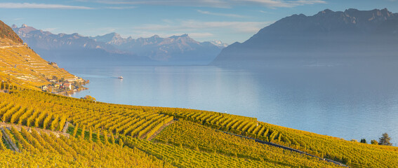 Vignoble du canton de Vaud au bord du lac Léman en Suisse