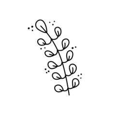 Branch of plant. Leaves in line style. Black and white natural illustration. Sketch Minimalism and simple flora.