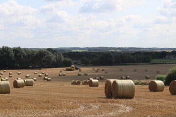 A warm summer's day in a field near Wakefield in West Yorkshire with blue sky and white clouds and round hay bales waiting to be harvested